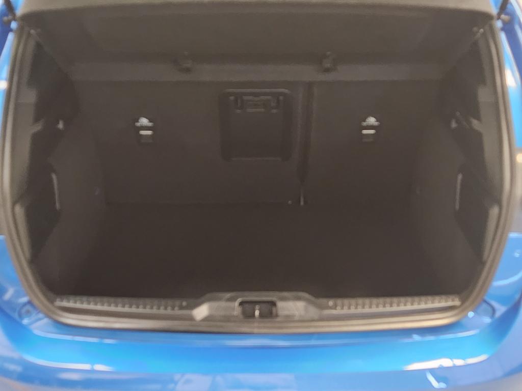 Trunk