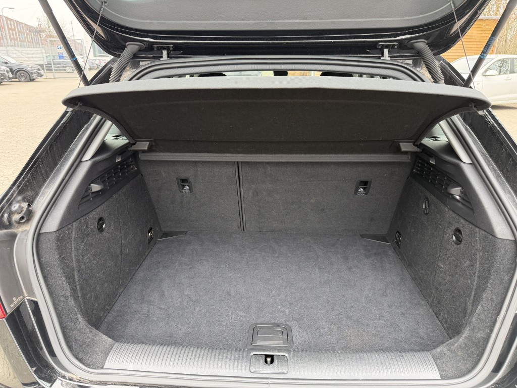 Trunk