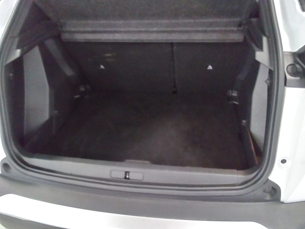 Trunk