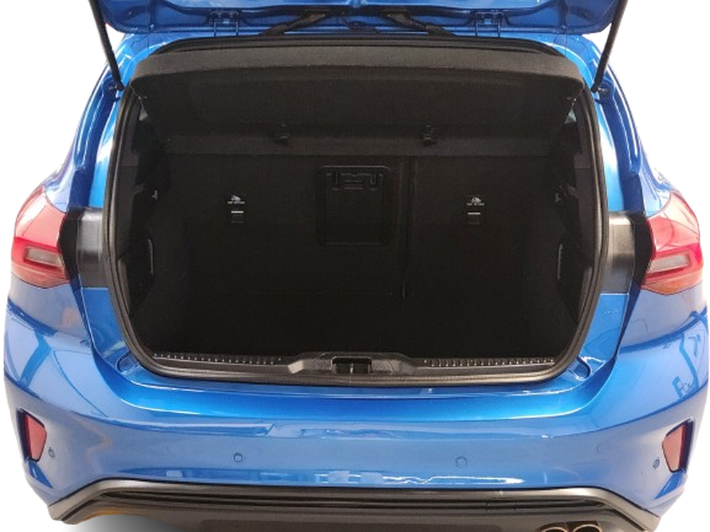 Trunk