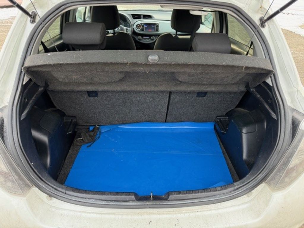 Trunk