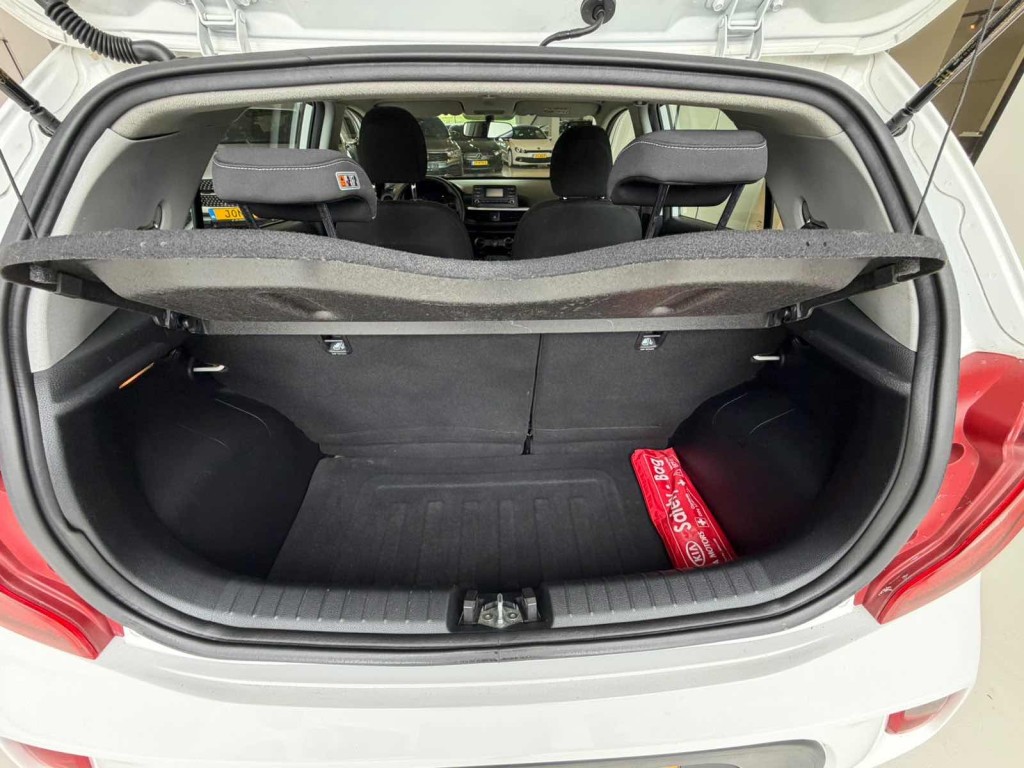 Trunk