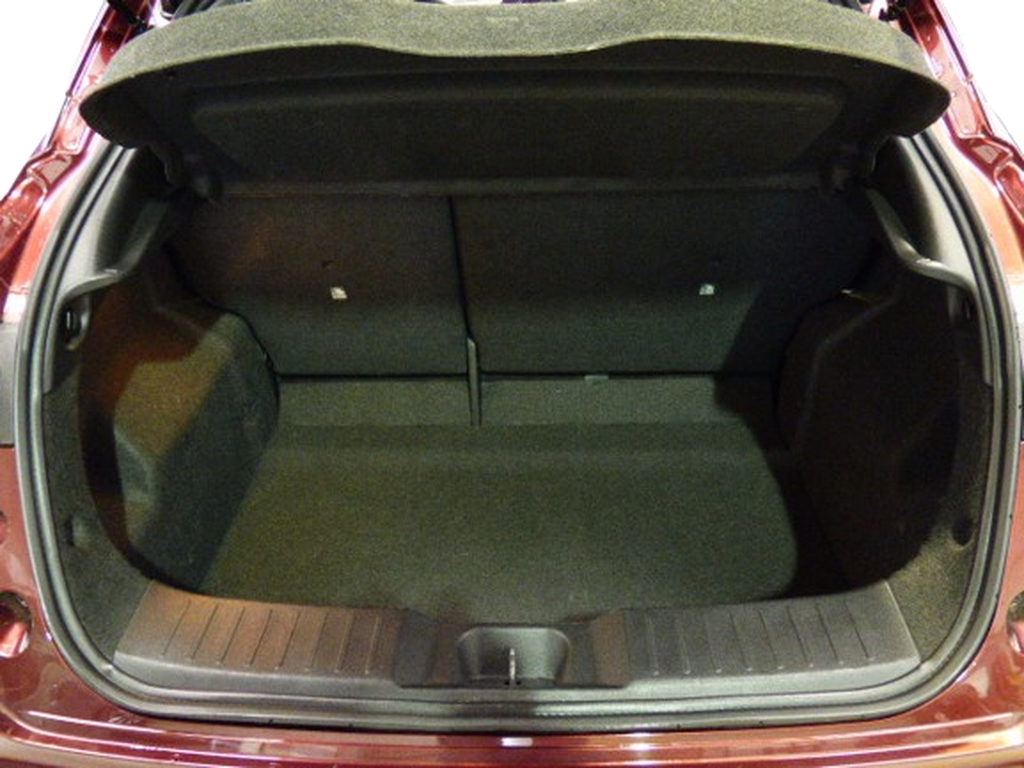 Trunk