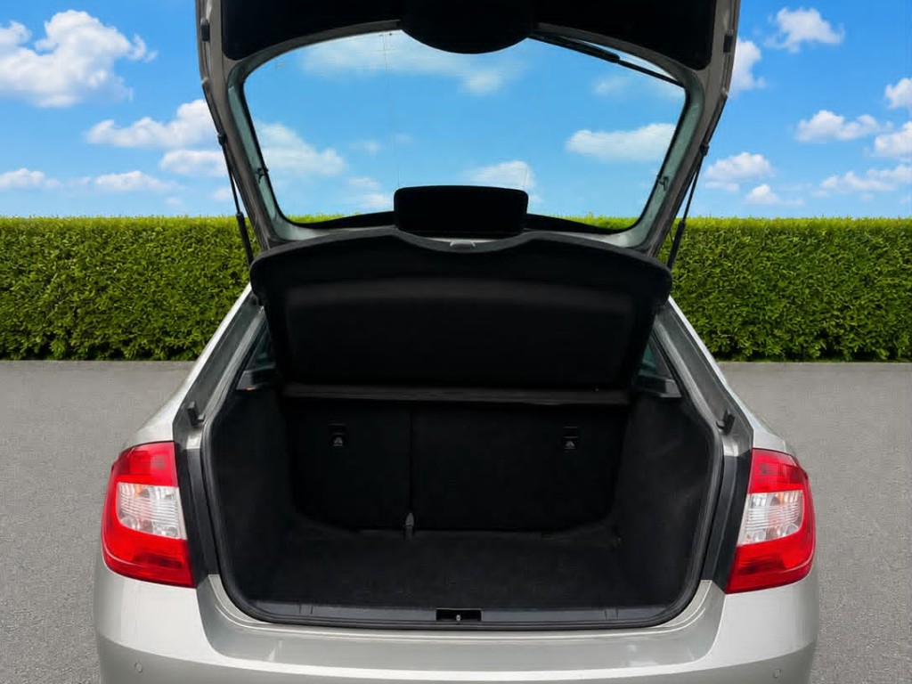 Trunk