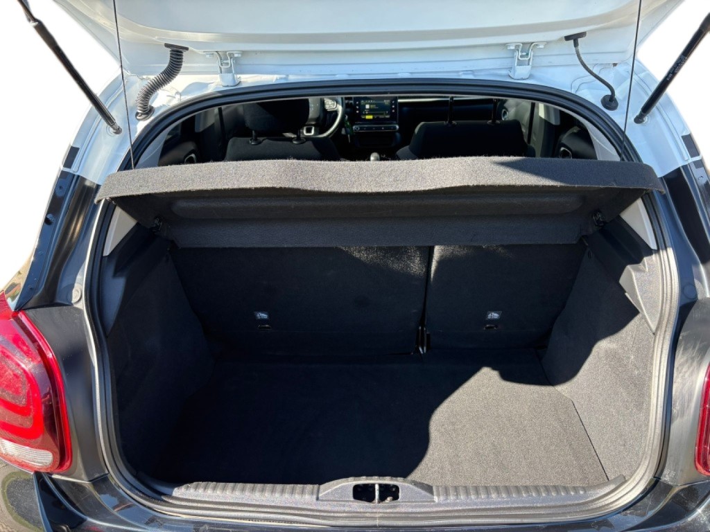 Trunk