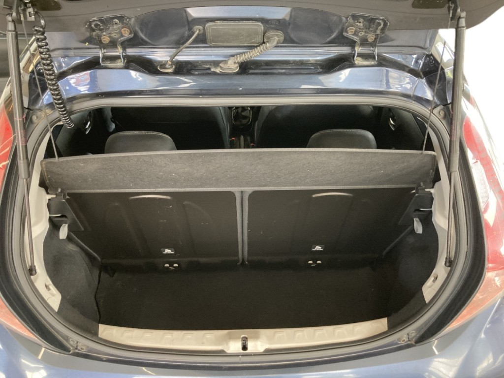 Trunk