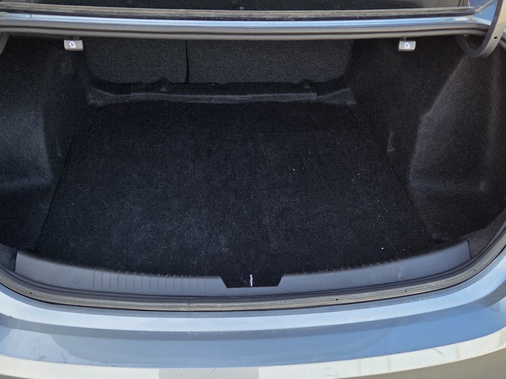Trunk