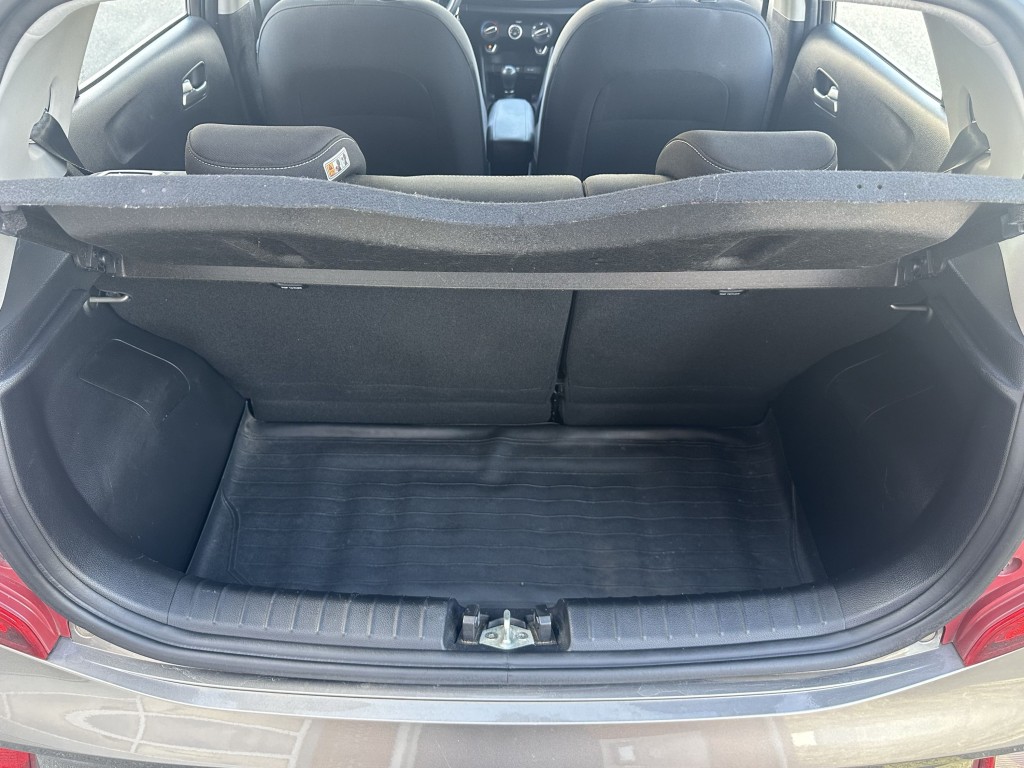 Trunk