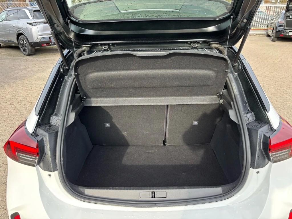 Trunk