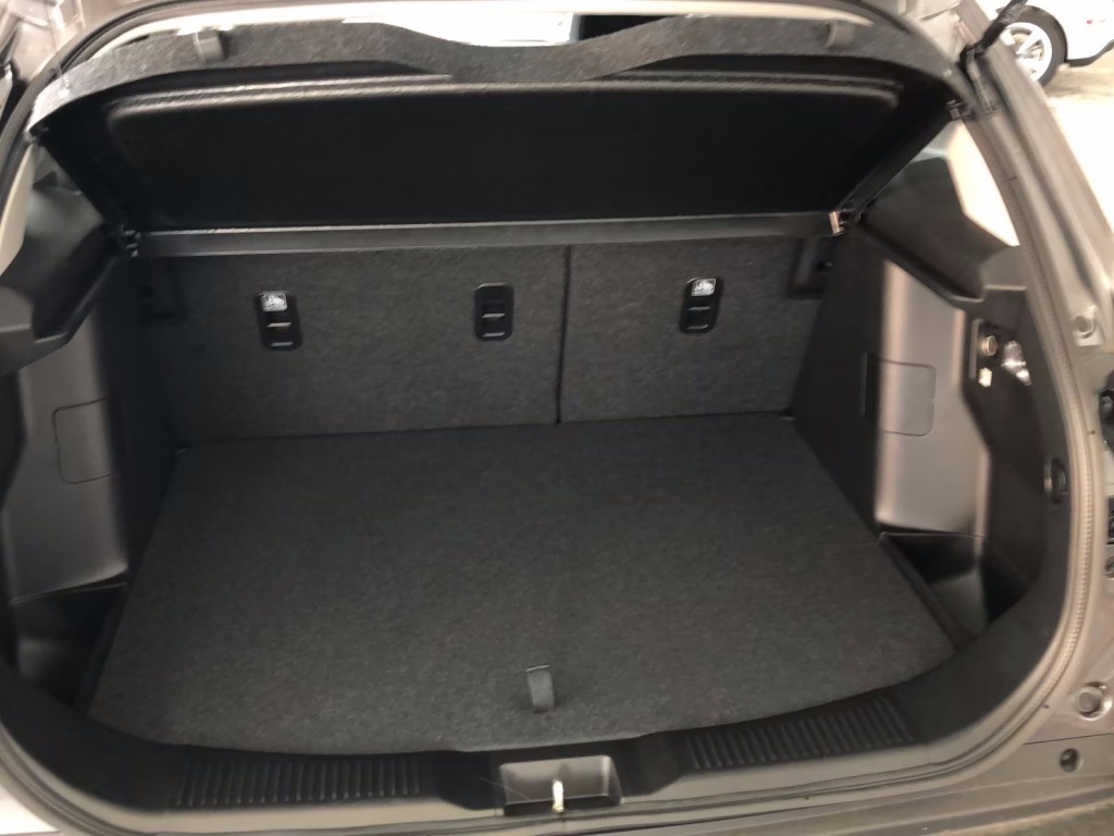 Trunk