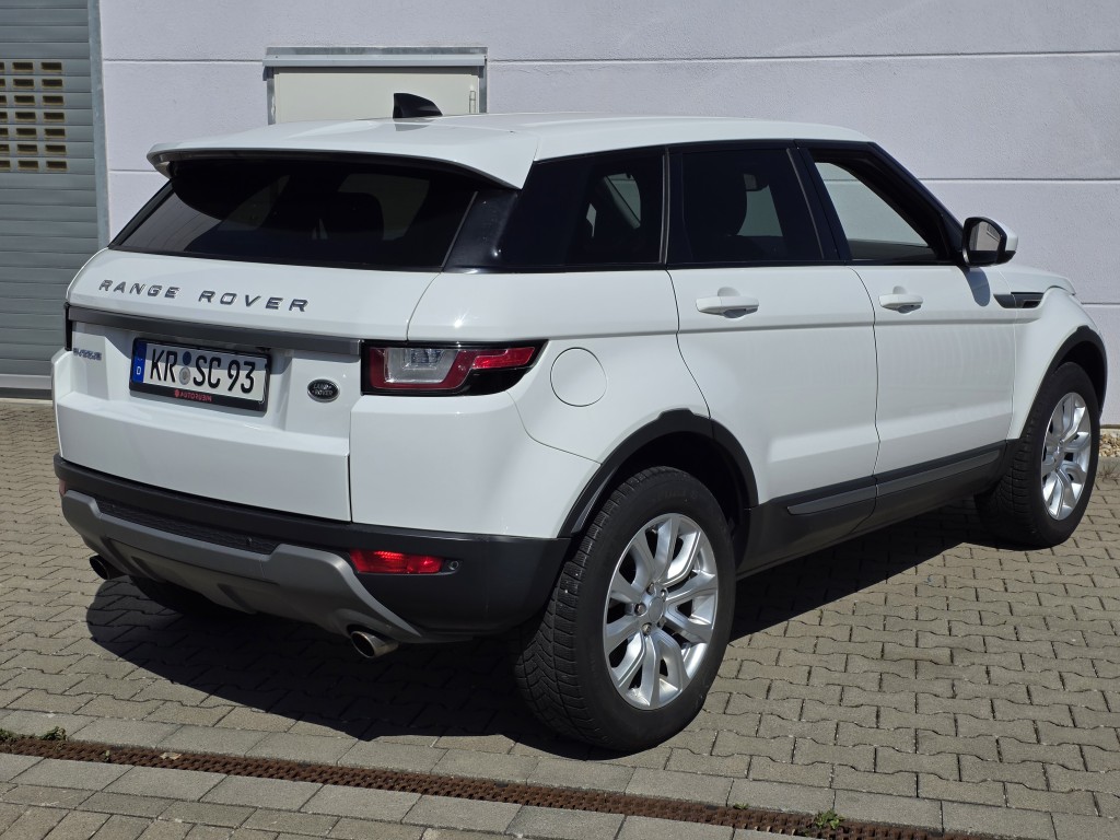 Main