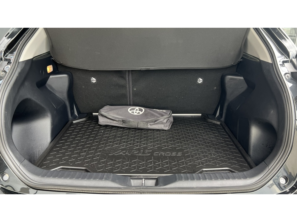 Trunk