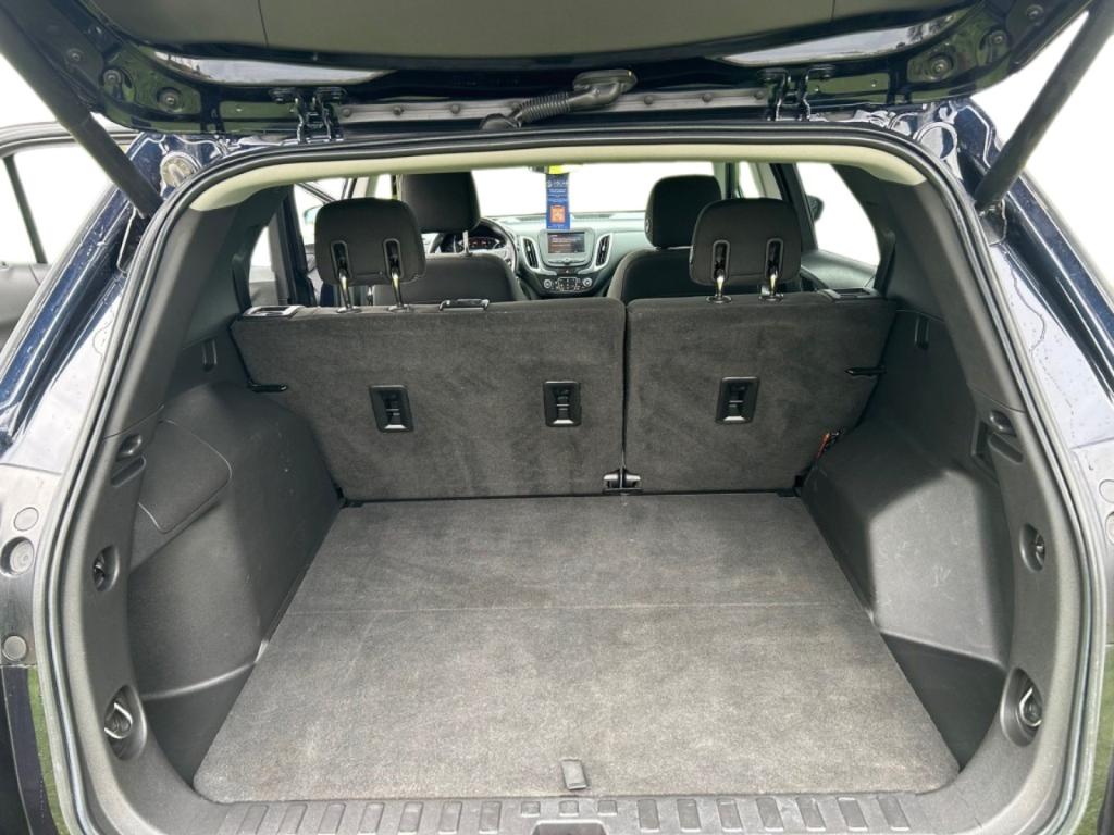 Trunk