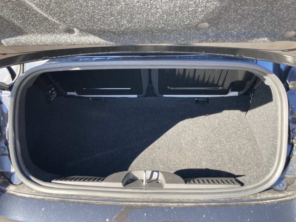 Trunk