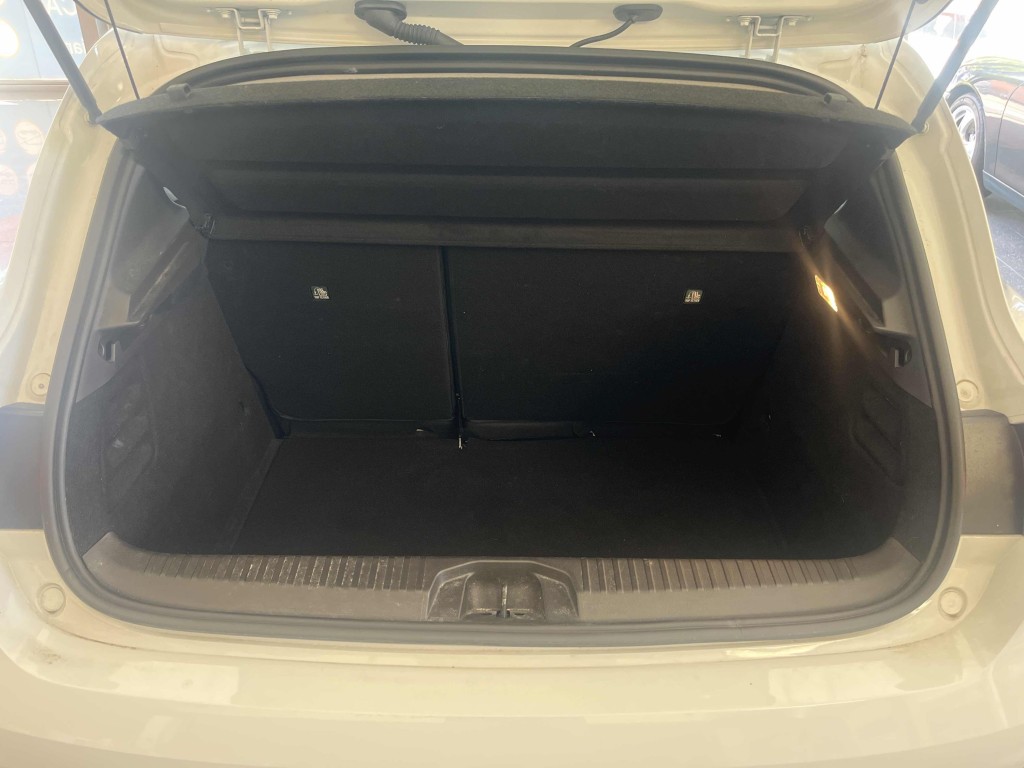 Trunk