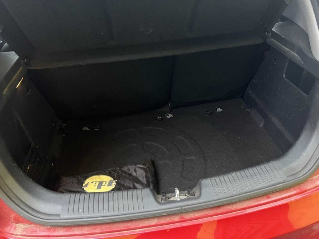 Trunk