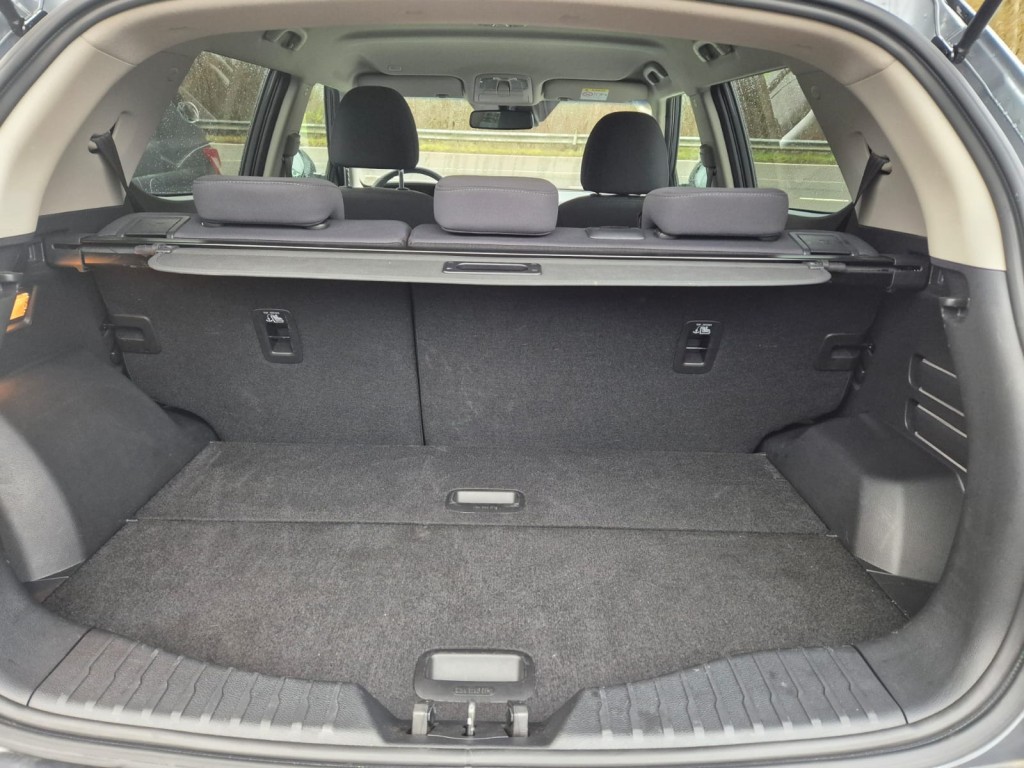Trunk