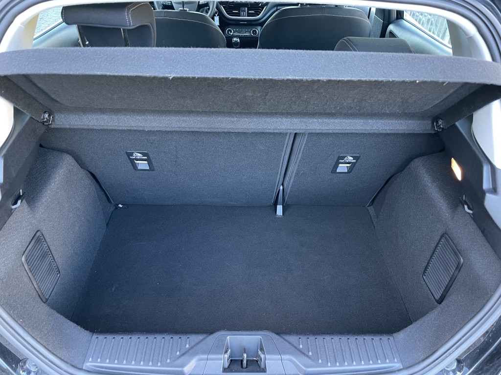 Trunk