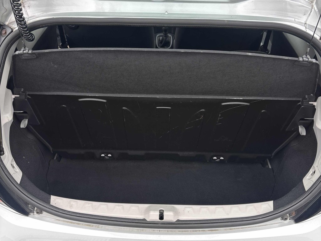Trunk