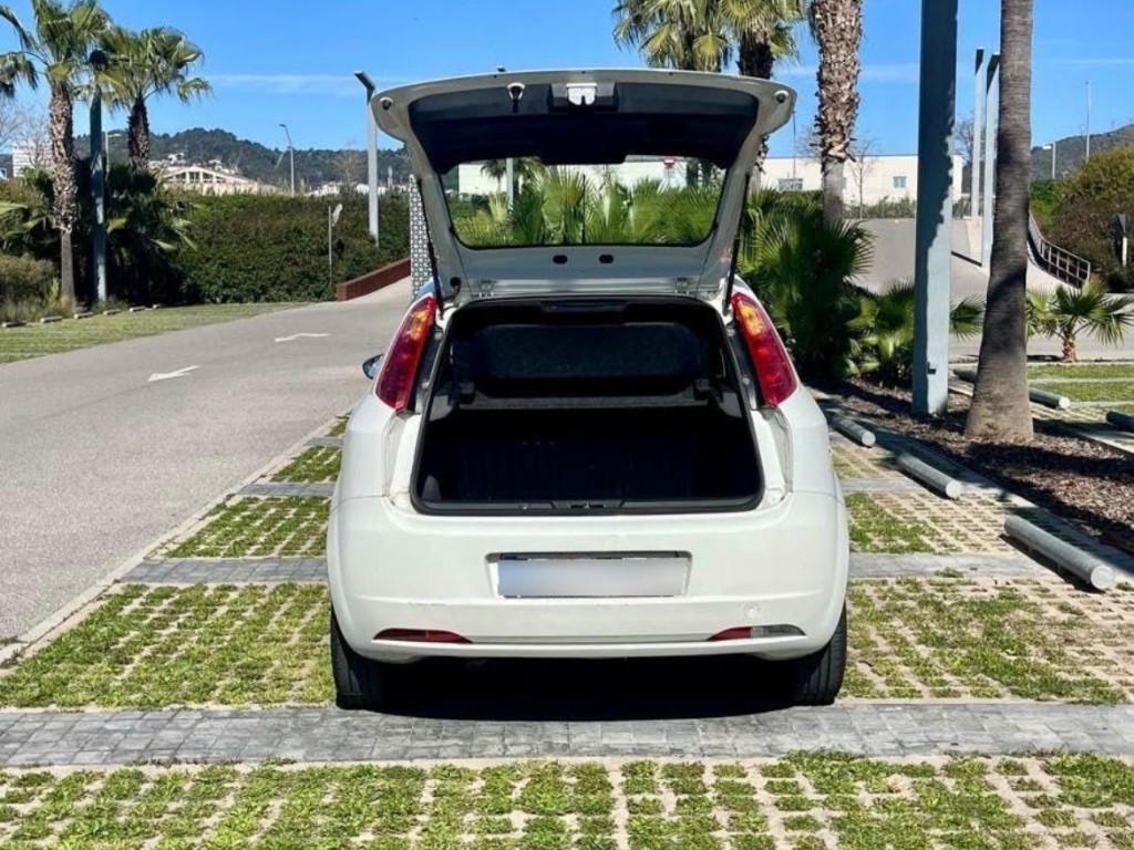 Trunk