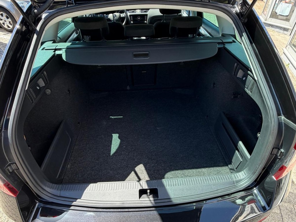 Trunk