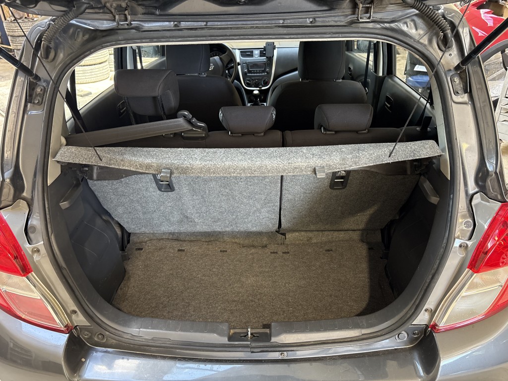Trunk