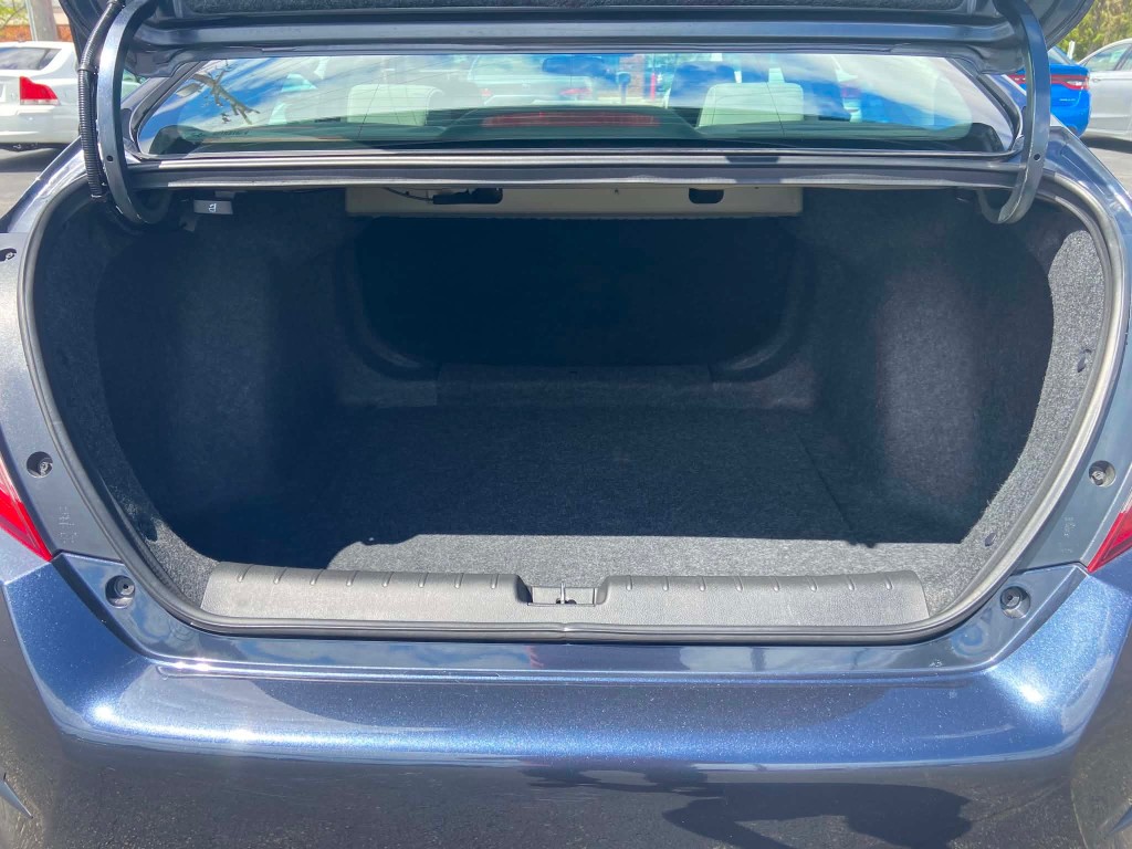 Trunk