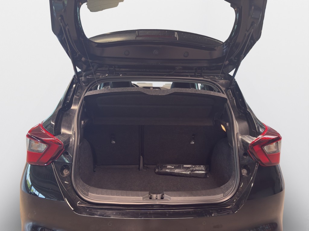 Trunk
