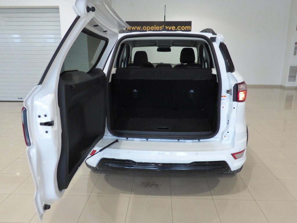 Trunk