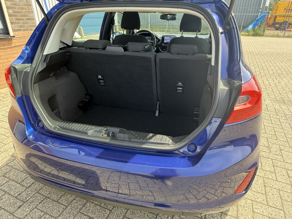 Trunk