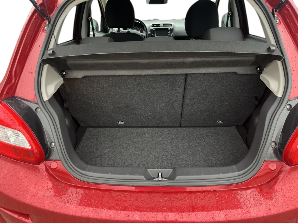 Trunk
