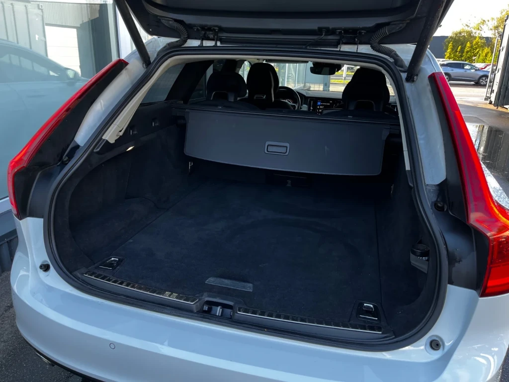 Trunk