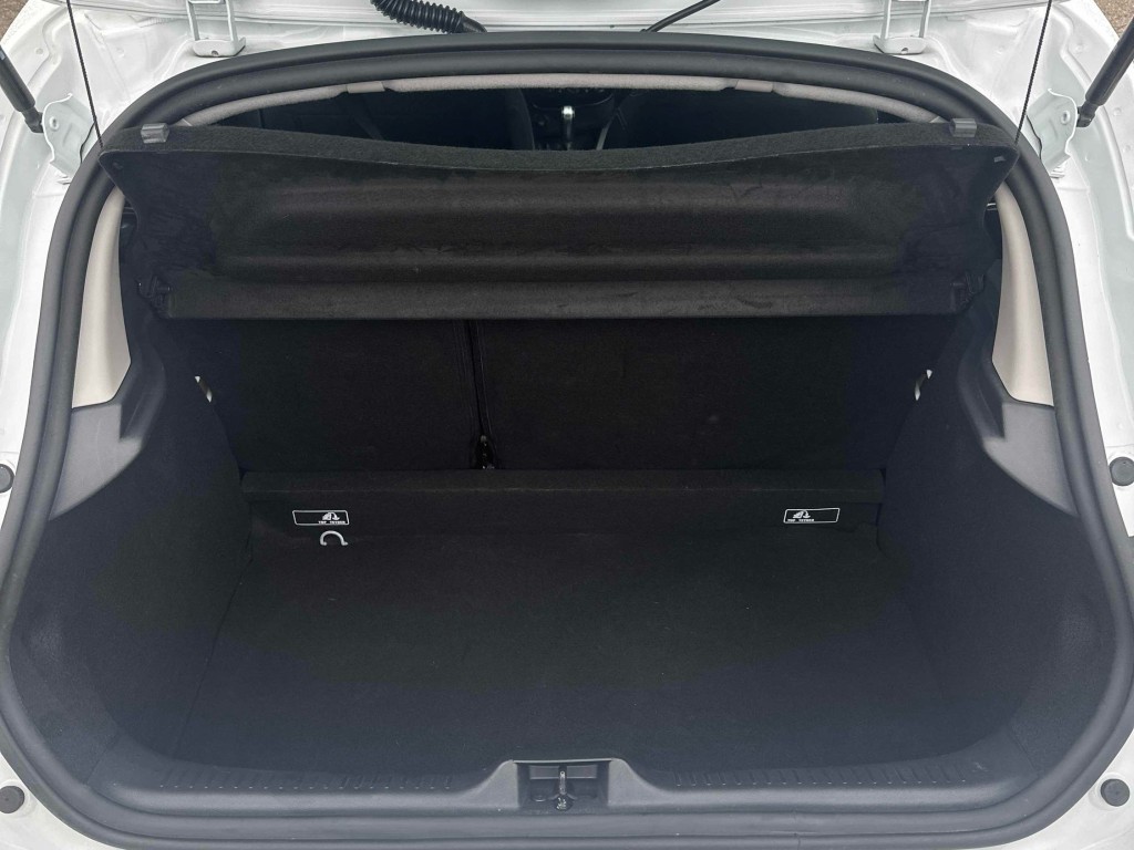 Trunk