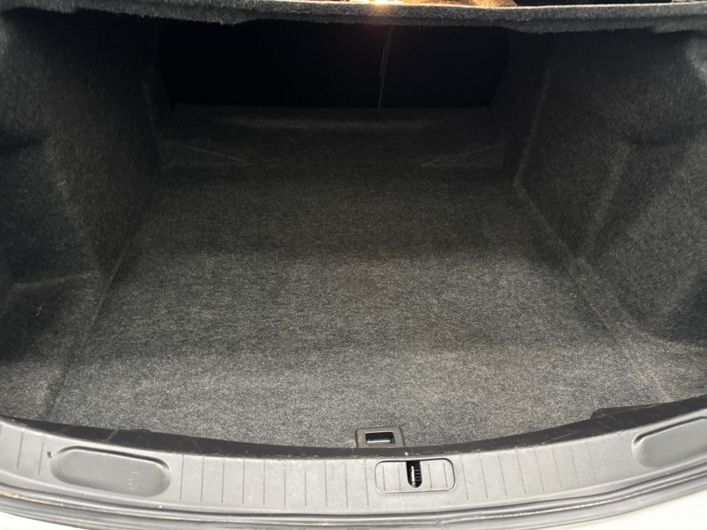 Trunk