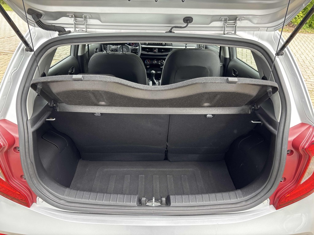 Trunk