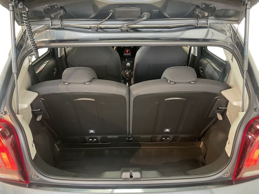 Trunk
