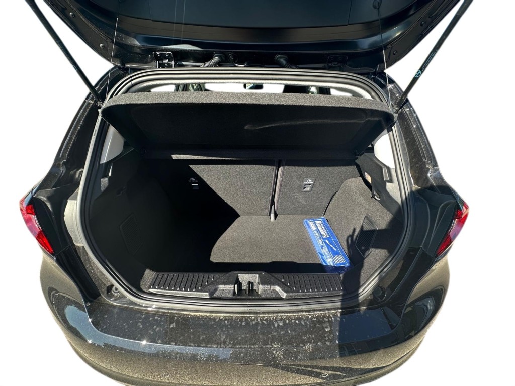 Trunk