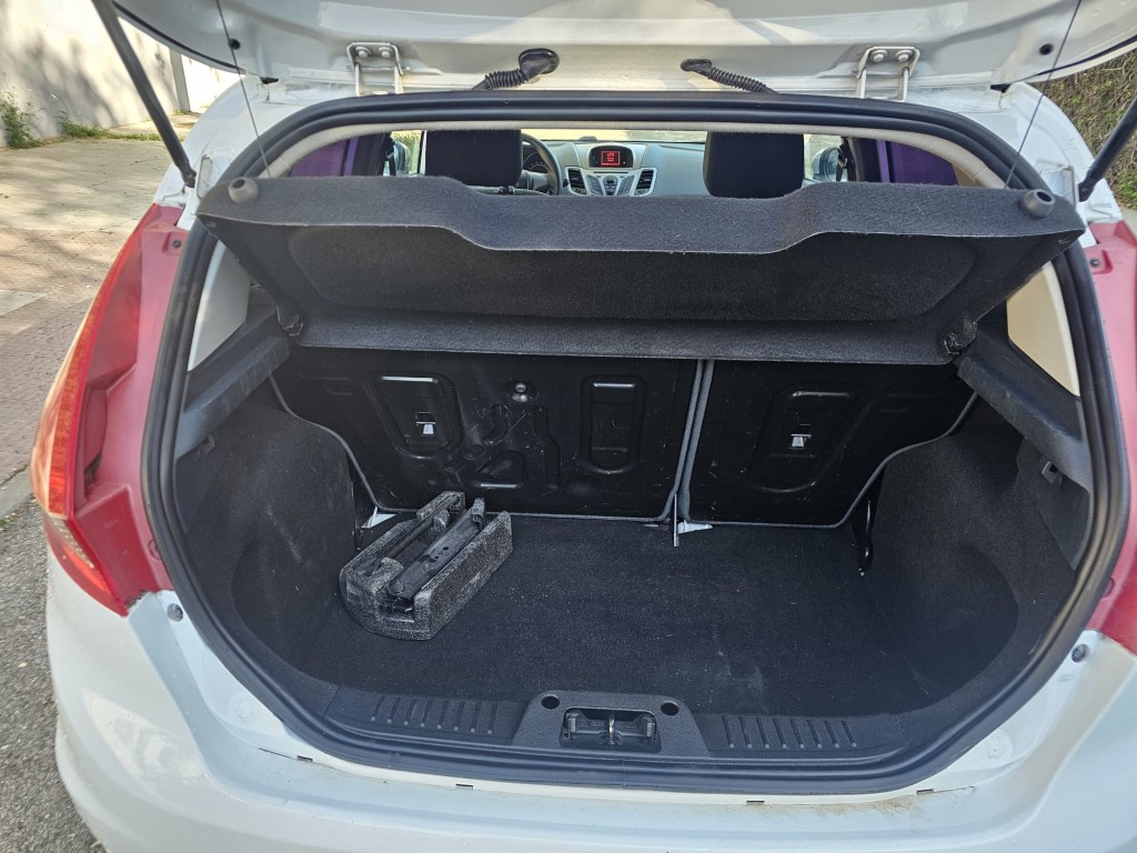 Trunk