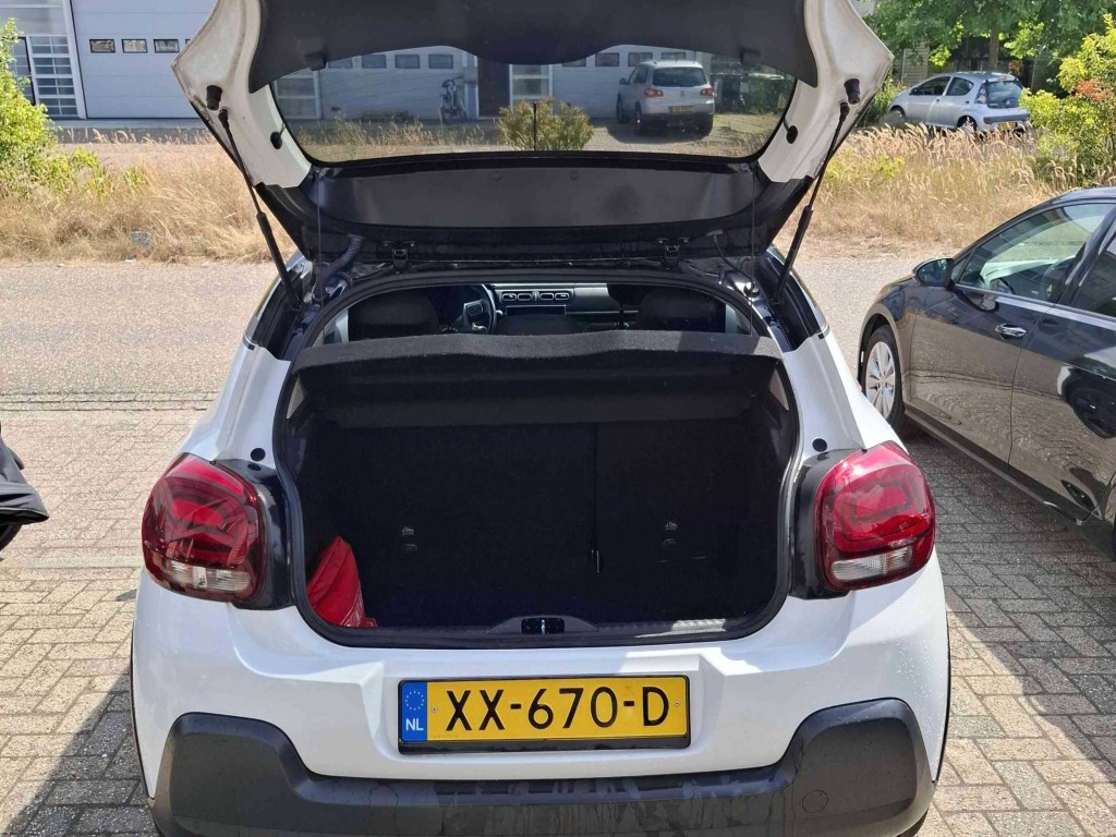 Trunk