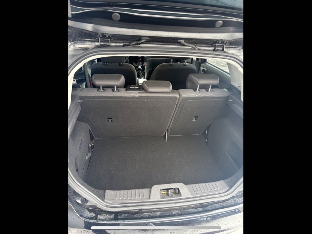 Trunk