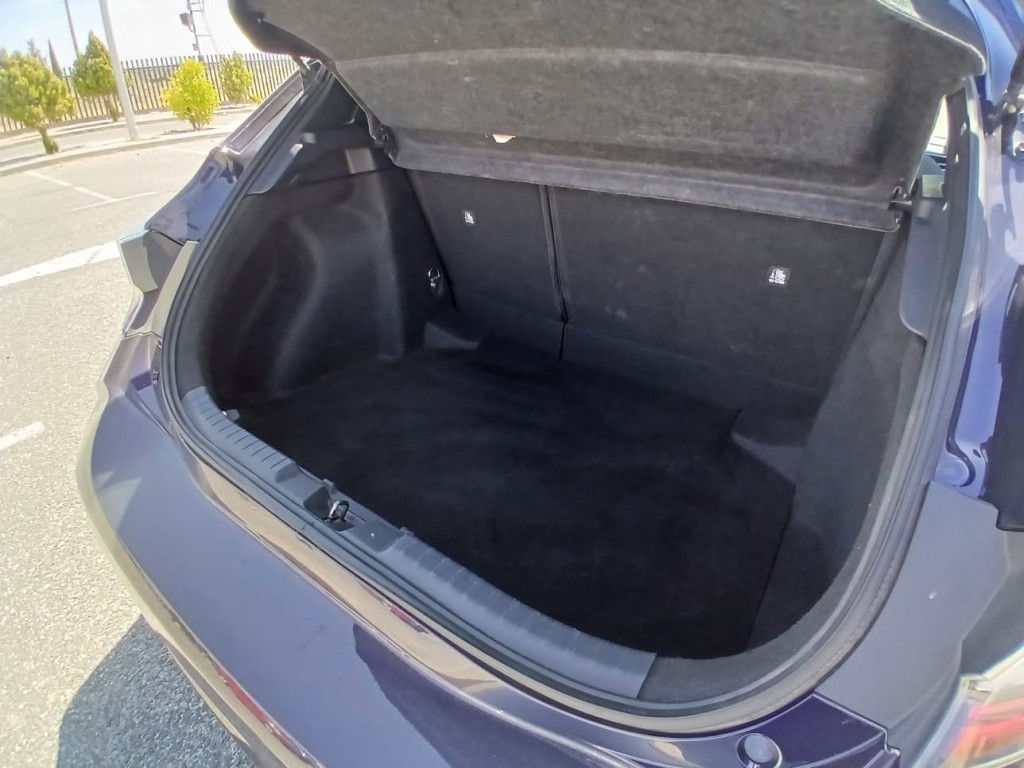 Trunk