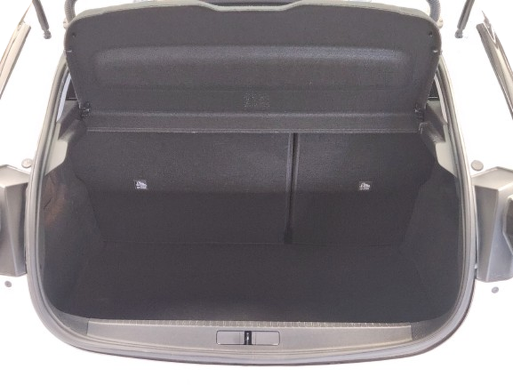 Trunk