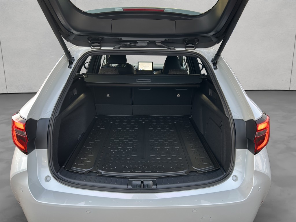 Trunk