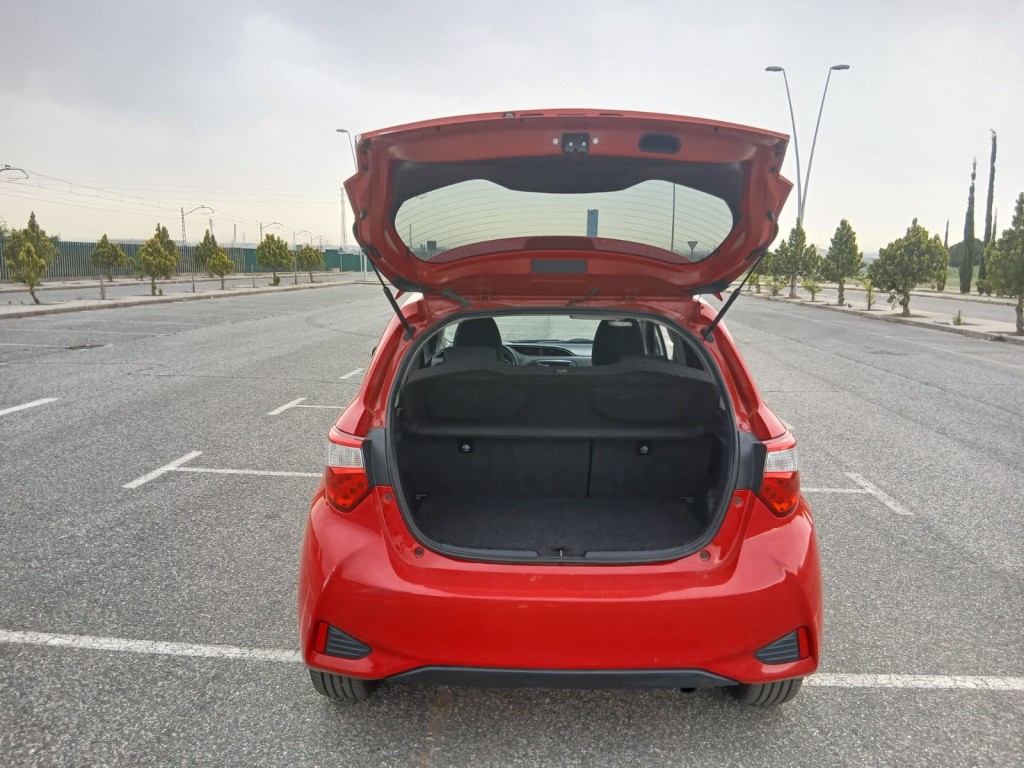 Trunk