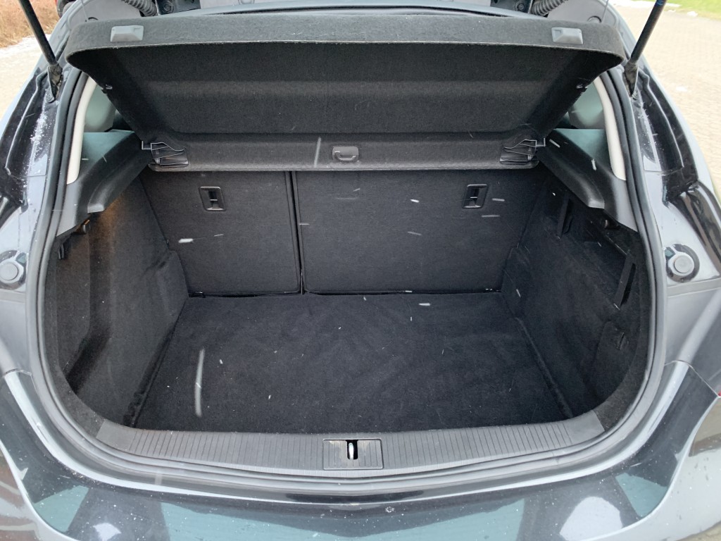 Trunk