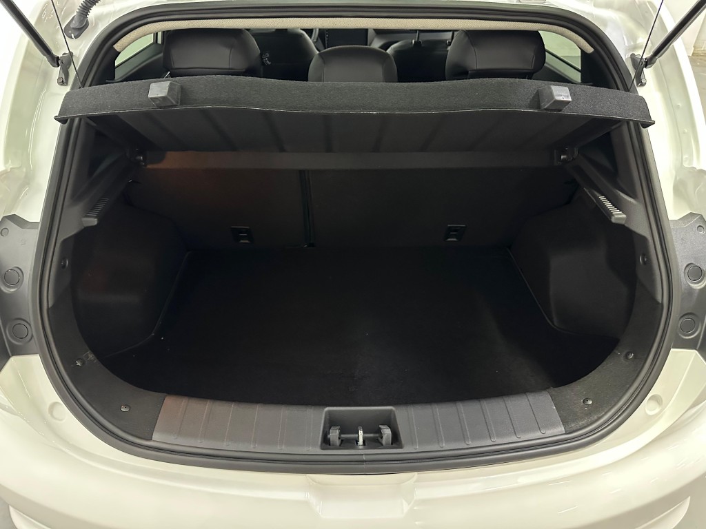 Trunk