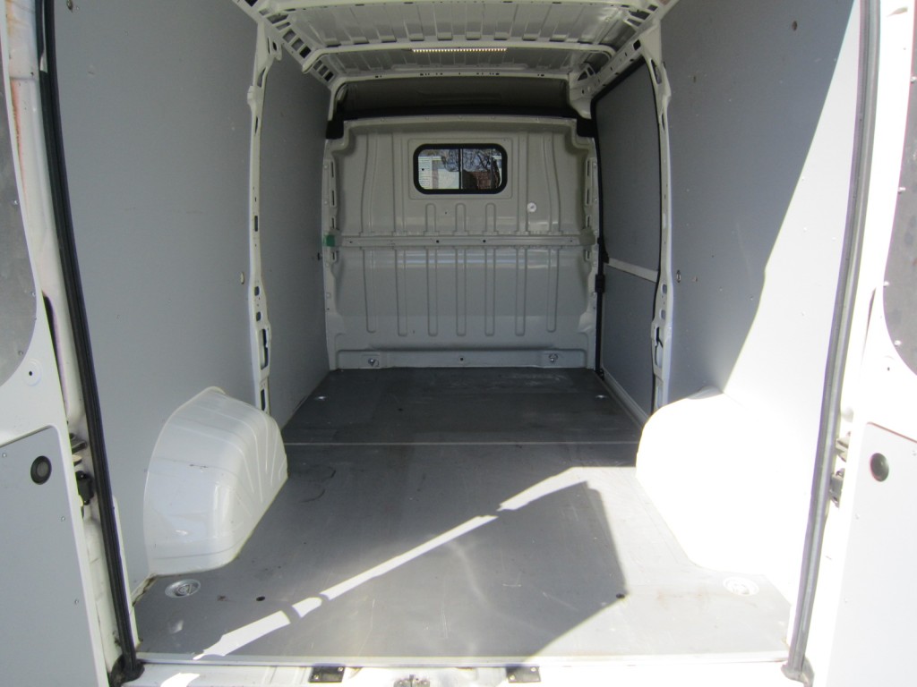 Trunk