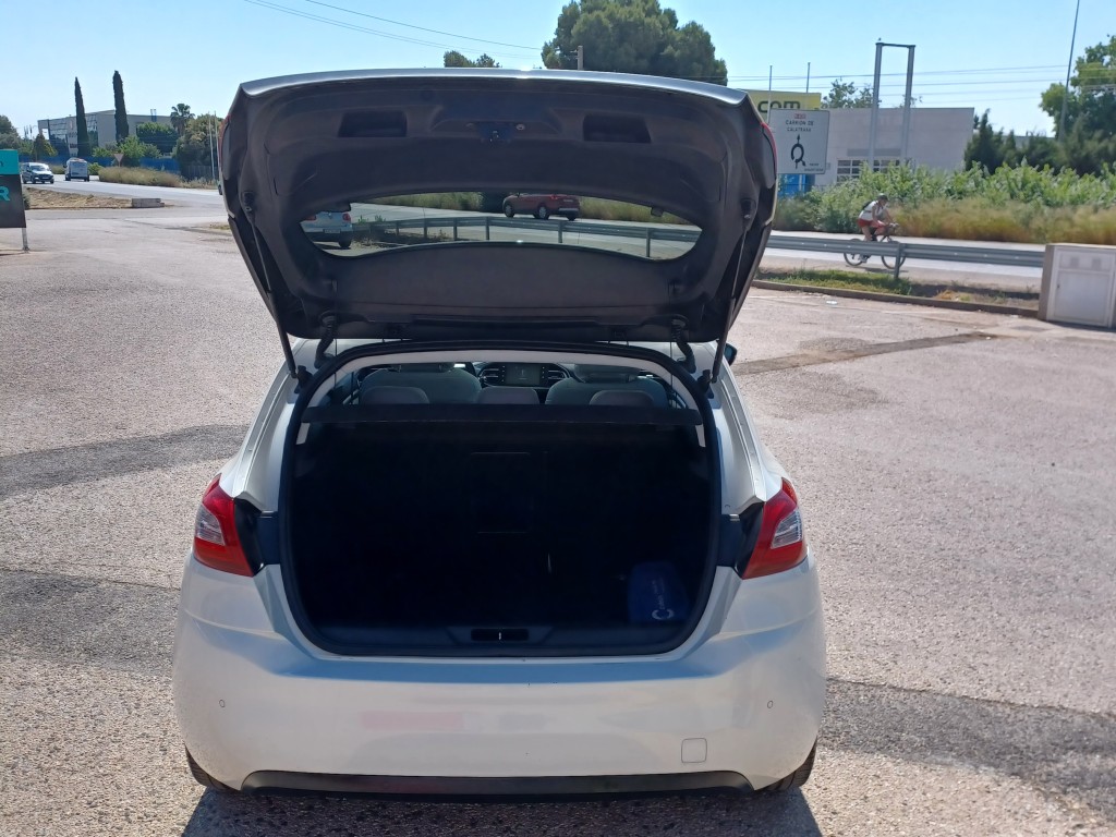Back