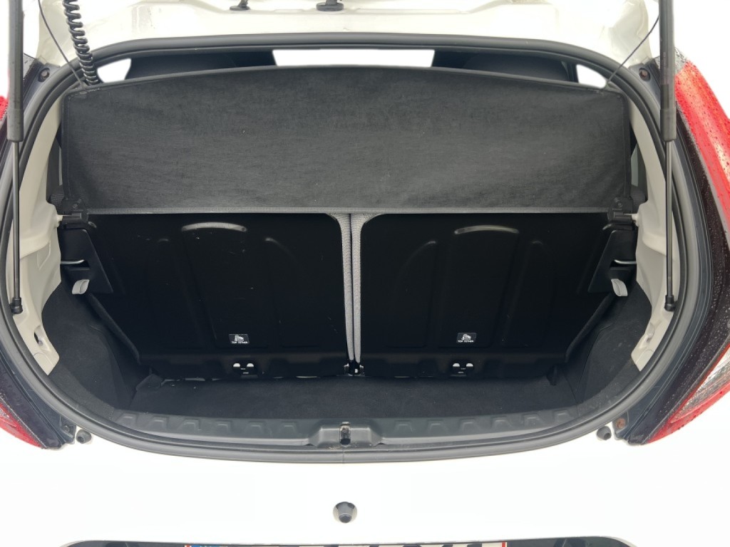 Trunk