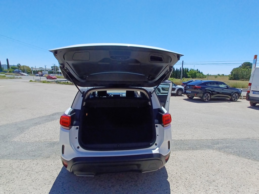 Trunk